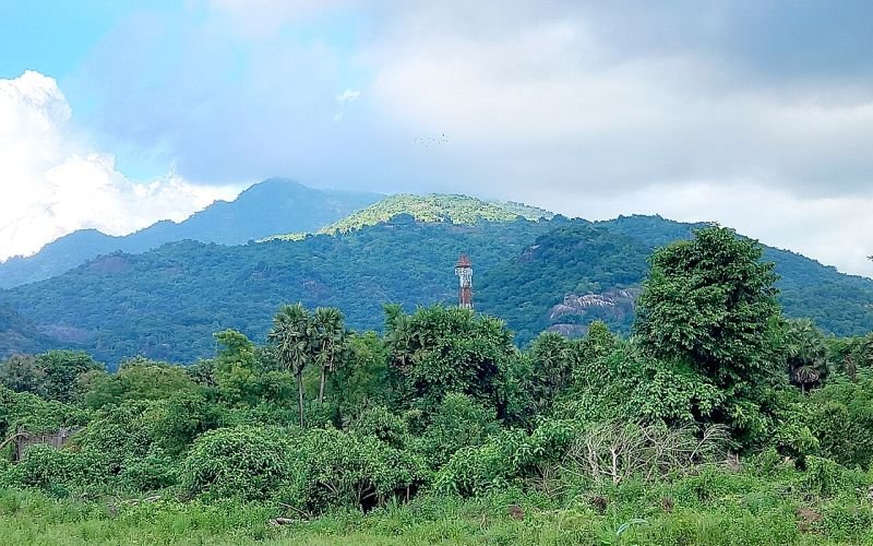 അരക്കു വാലി & വിശാഖപട്ടണം യാത്ര
