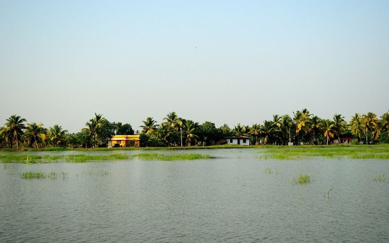 കുമരകം കായൽ & ഹൗസ്ബോട്ട് യാത്ര