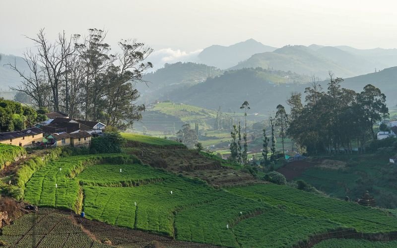 ഊട്ടി യാത്രാ പ്ലാൻ